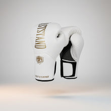 8/10/12/14Oz Boxing Gloves Adult Men'S Sanda Combat Punching Bag Training Women'S Thick Breathable Muay Thai Combat