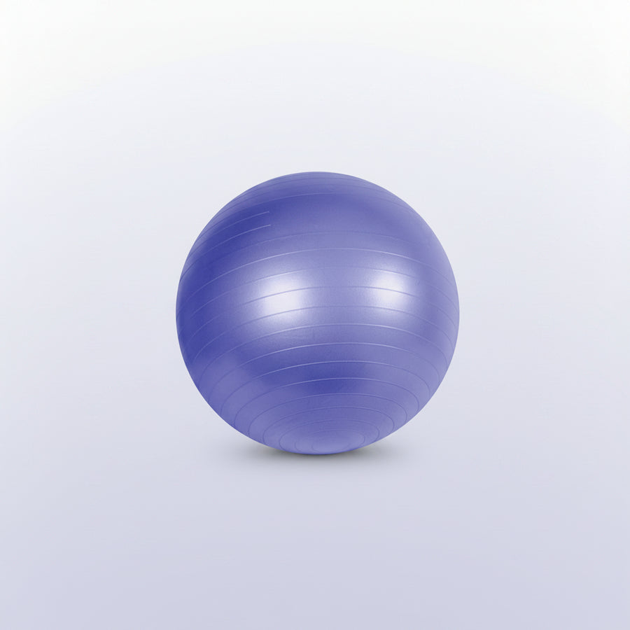 Fitness Anti-Burst Stability & Pregnancy Ball, 65Cm, Purple